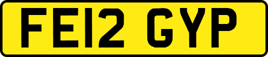 FE12GYP