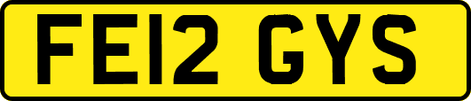 FE12GYS