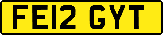 FE12GYT