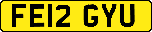 FE12GYU