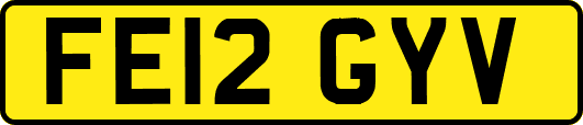FE12GYV