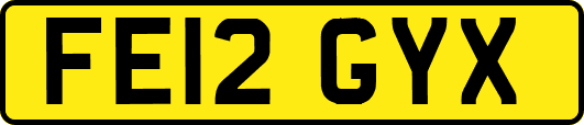 FE12GYX