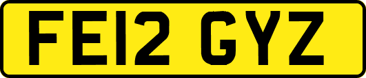 FE12GYZ