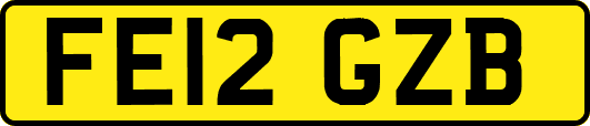 FE12GZB