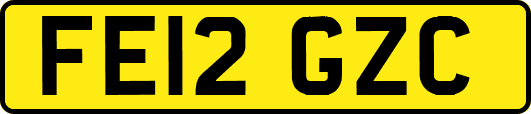 FE12GZC
