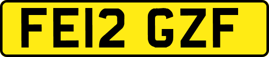FE12GZF