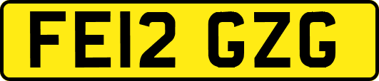 FE12GZG