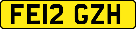 FE12GZH