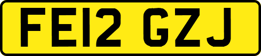 FE12GZJ