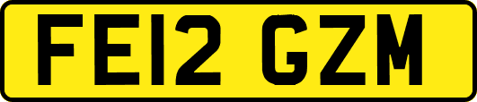 FE12GZM