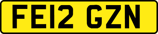 FE12GZN