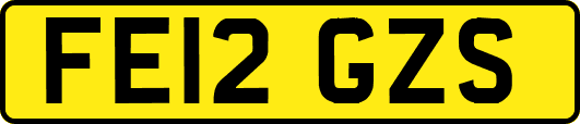 FE12GZS