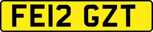 FE12GZT