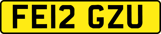 FE12GZU