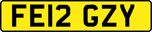 FE12GZY