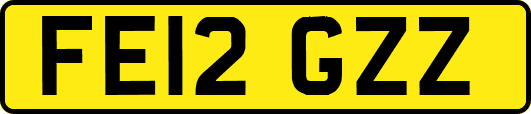 FE12GZZ