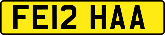 FE12HAA