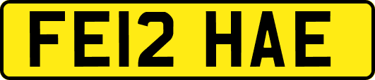 FE12HAE