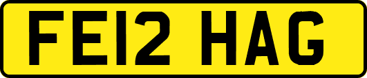 FE12HAG