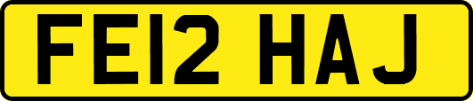 FE12HAJ
