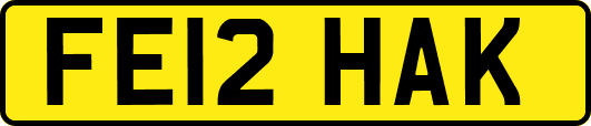 FE12HAK