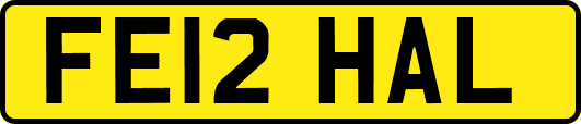 FE12HAL