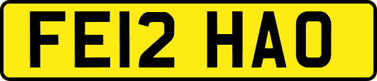FE12HAO