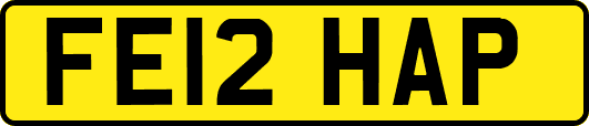FE12HAP