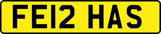 FE12HAS