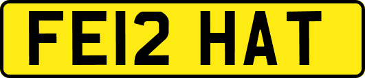 FE12HAT