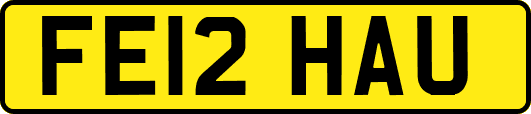 FE12HAU