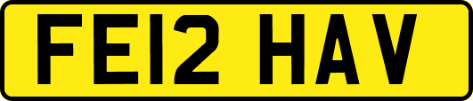 FE12HAV
