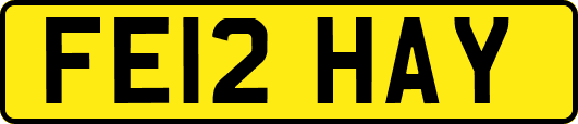 FE12HAY