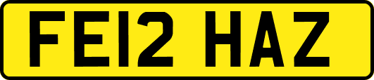 FE12HAZ