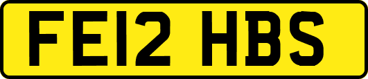 FE12HBS