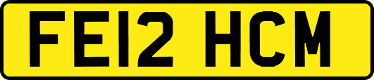 FE12HCM