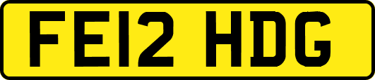 FE12HDG
