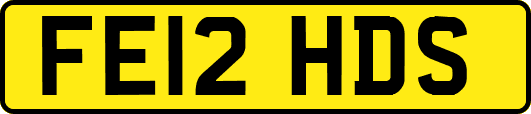 FE12HDS