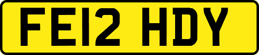 FE12HDY