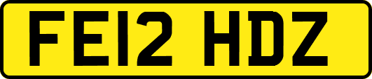 FE12HDZ