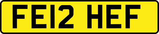 FE12HEF