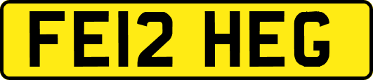 FE12HEG