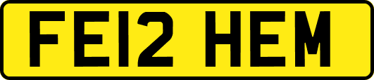 FE12HEM