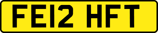 FE12HFT