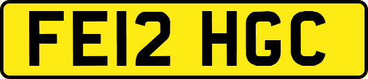 FE12HGC