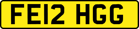 FE12HGG