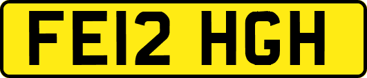 FE12HGH
