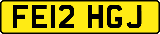FE12HGJ