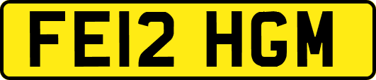 FE12HGM