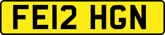 FE12HGN